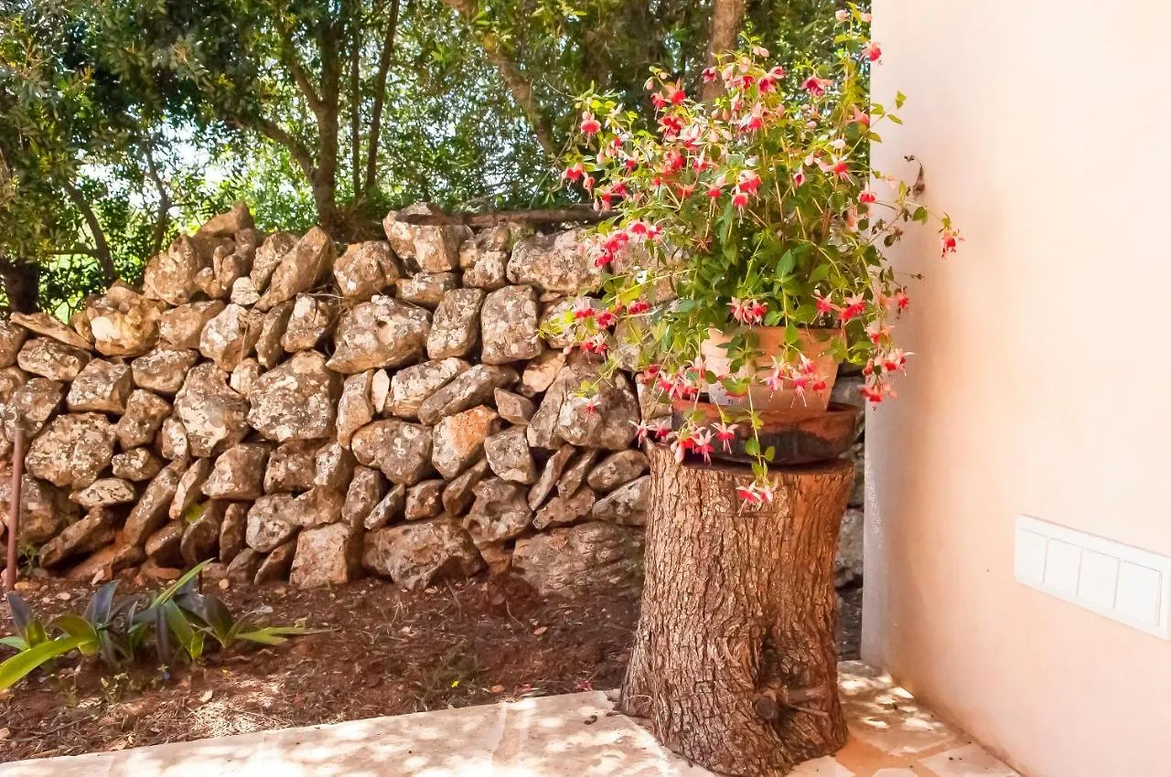Finca Salas Nou Calonge  Vakantiehuis Calonge (Mallorca)